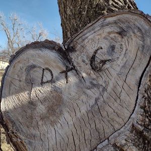 Meet your Posher, Gretchen